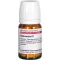 HAMAMELIS D 1 tabletter, 80 stk