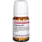 HYPERICUM D 10 tabletter, 80 stk