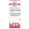 PHOSPHORUS AMORPHUS D 8 tabletter, 80 stk