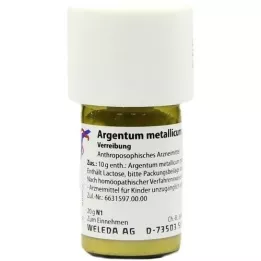 ARGENTUM METALLICUM praeparatum D 20 Triturering, 20 g