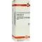 HYPERICUM D6 Fortynding, 50 ml