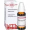 HYPERICUM D6 Fortynding, 50 ml