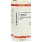 HYPERICUM D 12 Fortynding, 50 ml