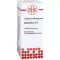 EUPHORBIUM D4-fortynding, 50 ml