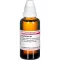 EUPHORBIUM D4-fortynding, 50 ml