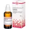 GRAPHITES D6 Fortynding, 50 ml