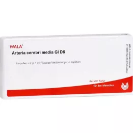 ARTERIA CEREBRI medium GL D 6 ampuller, 10X1 ml