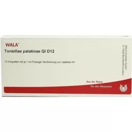 TONSILLAE palatinae GL D 12 ampuller, 10X1 ml