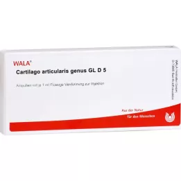CARTILAGO articularis genus GL D 5 ampuller, 10X1 ml