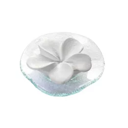 DUFTSTEIN Frangipani glasplade gennemsigtig, 1 stk