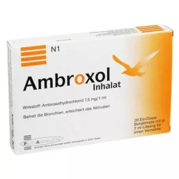 AMBROXOL Inhalationsopløsning til en forstøver, 20X2 ml