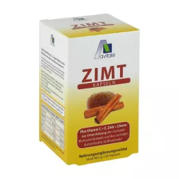 ZIMT KAPSELN 500 mg+C+E-vitamin, 120 stk