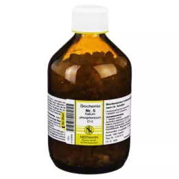 BIOCHEMIE 5 Kalium phosphoricum D 12 tabletter, 1000 stk