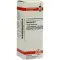 AGARICUS D 8 Fortynding, 20 ml