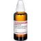 GRAPHITES D 10 Fortynding, 50 ml