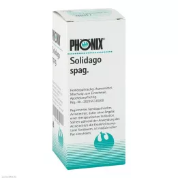 PHÖNIX SOLIDAGO spagblanding, 100 ml