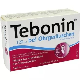 TEBONIN 120 mg til ringen for ørerne filmovertrukne tabletter, 120 stk
