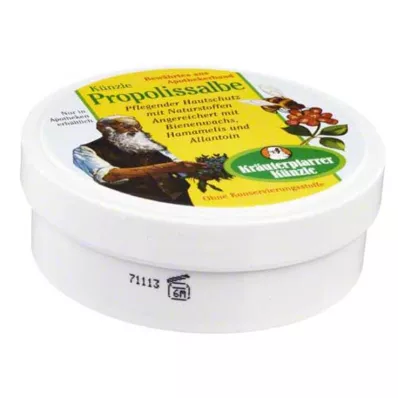 PROPOLIS SALBE N, 100 ml