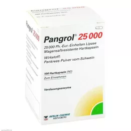 PANGROL 25.000 hårde kapsler med enterisk coatede pellets, 100 stk