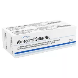 AKNEDERM Salve Ny, 60 g