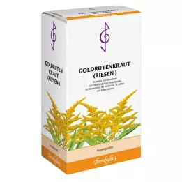 GOLDRUTENKRAUT Kæmpe te, 100 g