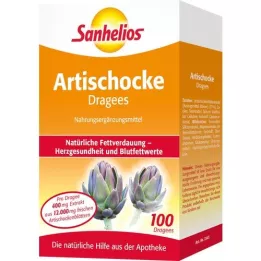 SANHELIOS artiskok drager, 100 st