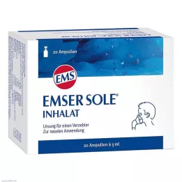 EMSER Eneste inhalationsopløsning til forstøver, 20 stk