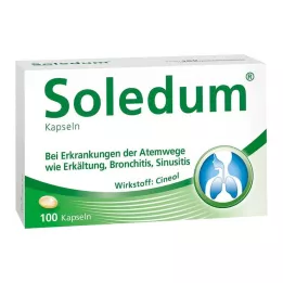 SOLEDUM 100 mg gastro-resistente kapsler, 100 stk