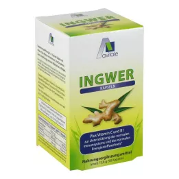 INGWER 500 mg kapsler+vitamin B1+C, 90 stk