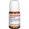 BERBERIS D 8 tabletter, 80 stk