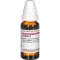 ZINGIBER Moder tinktur, 20 ml