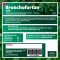 BRONCHOFORTON Salve, 40 g