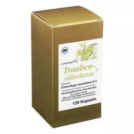 TRAUBENSILBERKERZE Kapsler, 120 stk