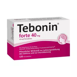TEBONIN forte 40 mg filmovertrukne tabletter, 120 stk