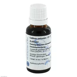 LEDUM Moder tinktur D 1 Hanosan, 20 ml
