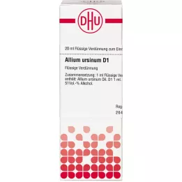 ALLIUM URSINUM D 1 fortynding, 20 ml