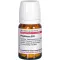 PHYTOLACCA D 10 tabletter, 80 stk