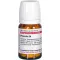 PROPOLIS D 4 tabletter, 80 stk