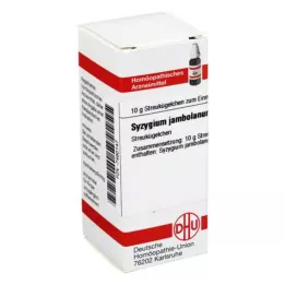 SYZYGIUM JAMBOLANUM D 6 Globuli, 10 g