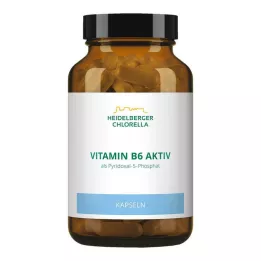 VITAMIN B6 KAPSLER, 120 stk