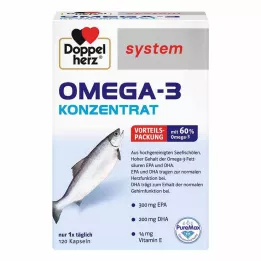 DOPPELHERZ Omega-3 koncentrat system kapsler, 120 stk