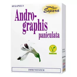 ANDROGRAPHIS paniculata kapsler, 60 stk
