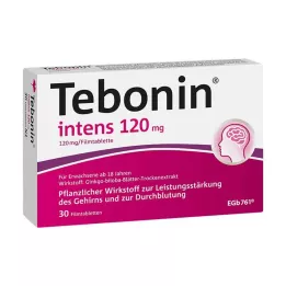 TEBONIN intens 120 mg filmovertrukne tabletter, 30 stk