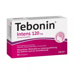 TEBONIN intens 120 mg filmovertrukne tabletter, 60 stk