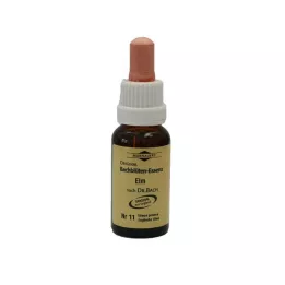 BACHBLÜTEN Murnauer Elm dråber, 20 ml