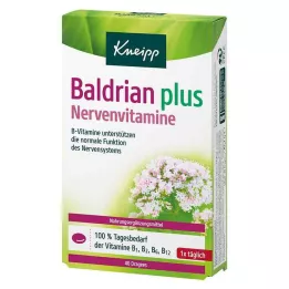KNEIPP Baldrian plus nerve vitaminer dragéer, 40 stk
