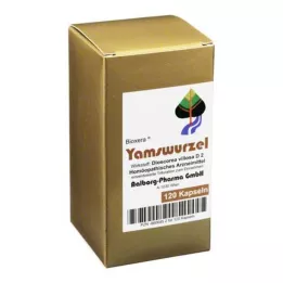 YAMSWURZEL KAPSLER, 120 stk