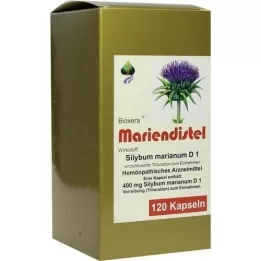 MARIENDISTEL BIOXERA Kapsler, 120 stk