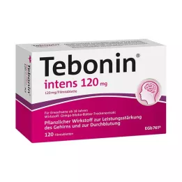 TEBONIN intens 120 mg filmovertrukne tabletter, 120 stk