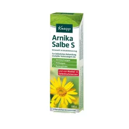 KNEIPP Arnica Ointment S, 100 g
